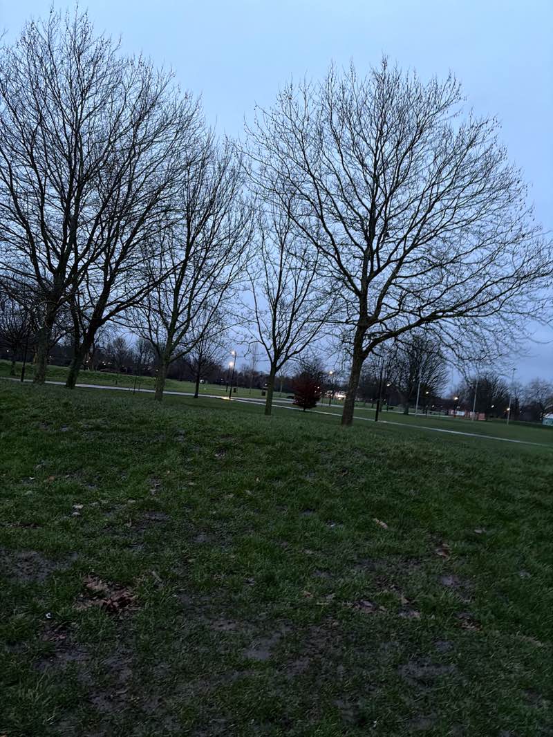 walking near me in West Park in winter