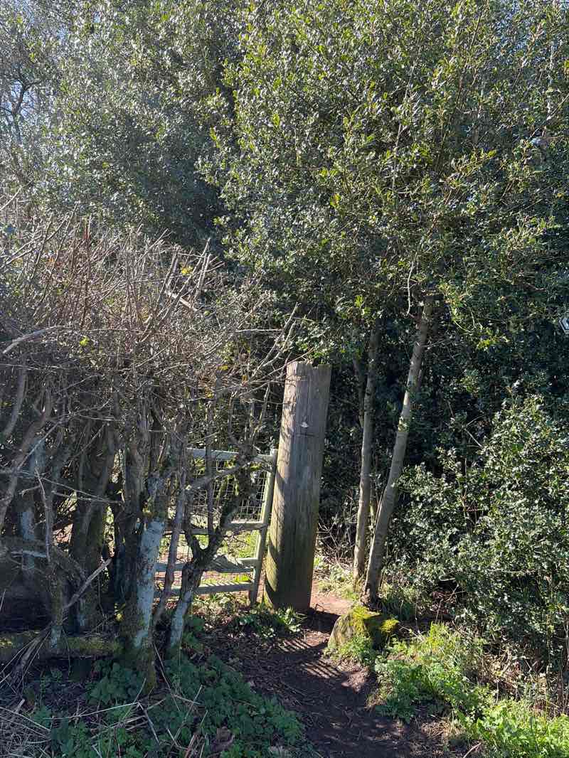 walking near me in Morley Brickyards Nature Reserve in spring