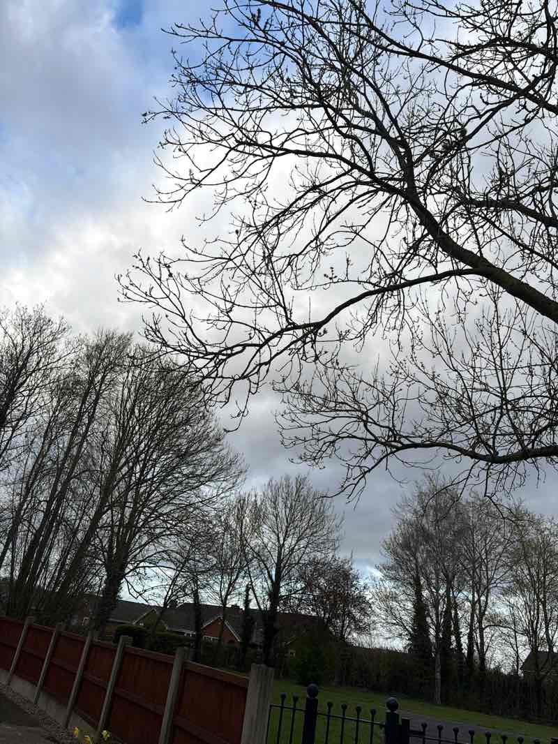walking near me in Eastcote Avenue Open Space in spring