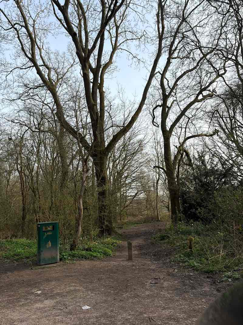 walking near me in Allestree Park in spring