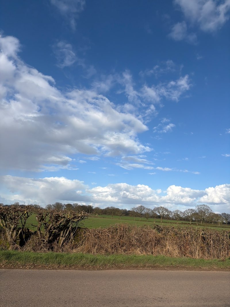 walking near me in Morley Brickyards Nature Reserve in spring