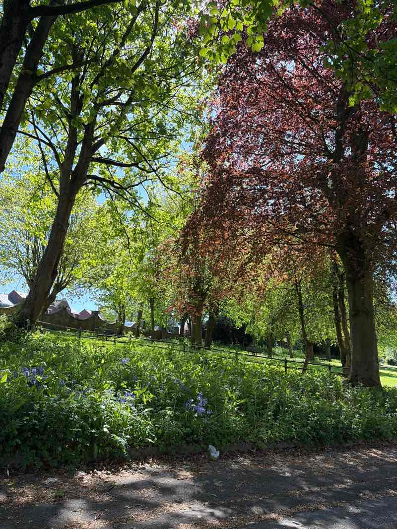 walking near me in Watchorn Park in spring