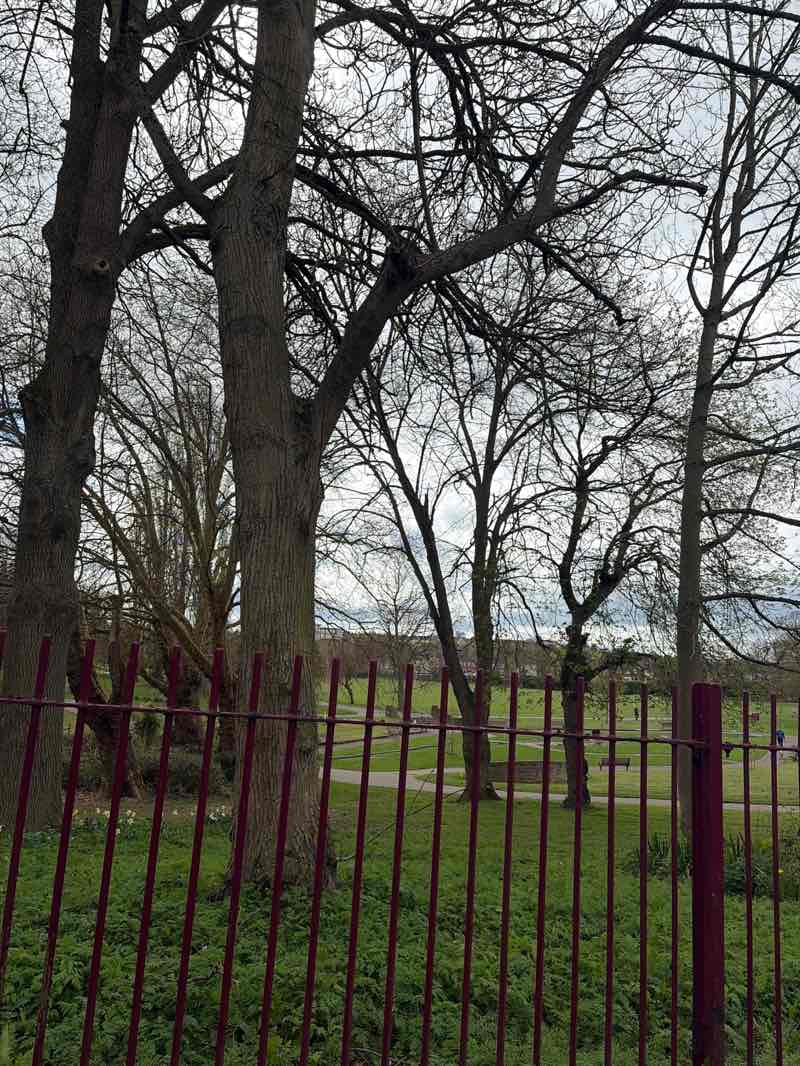 walking near me in Eureka Park in spring