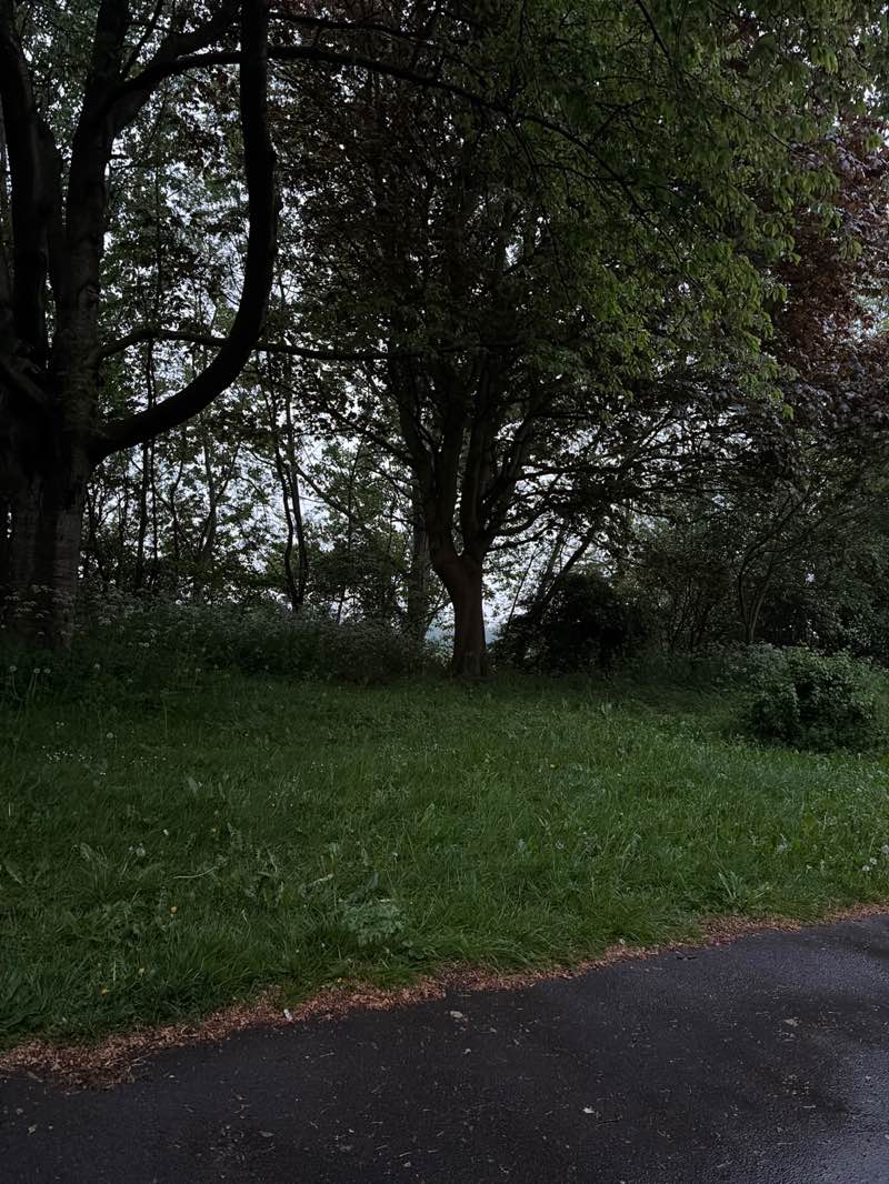 walking near me in Race Course Fields in spring