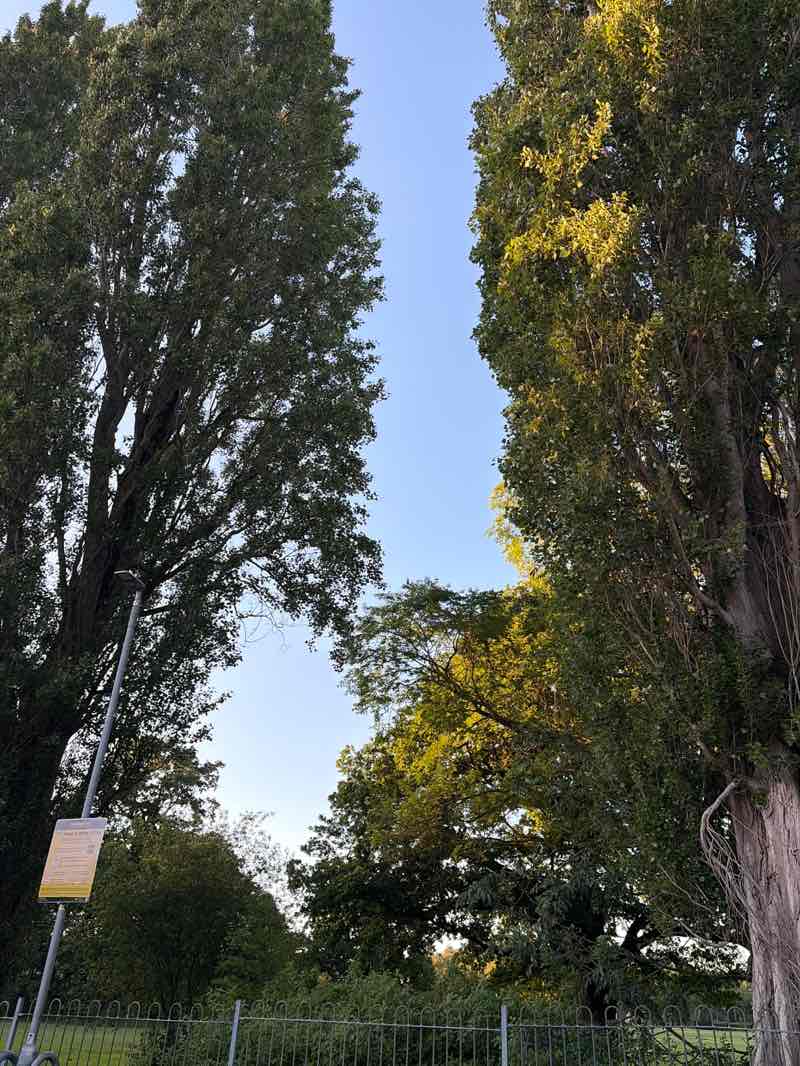 walking near me in Chaddesden Park in summer