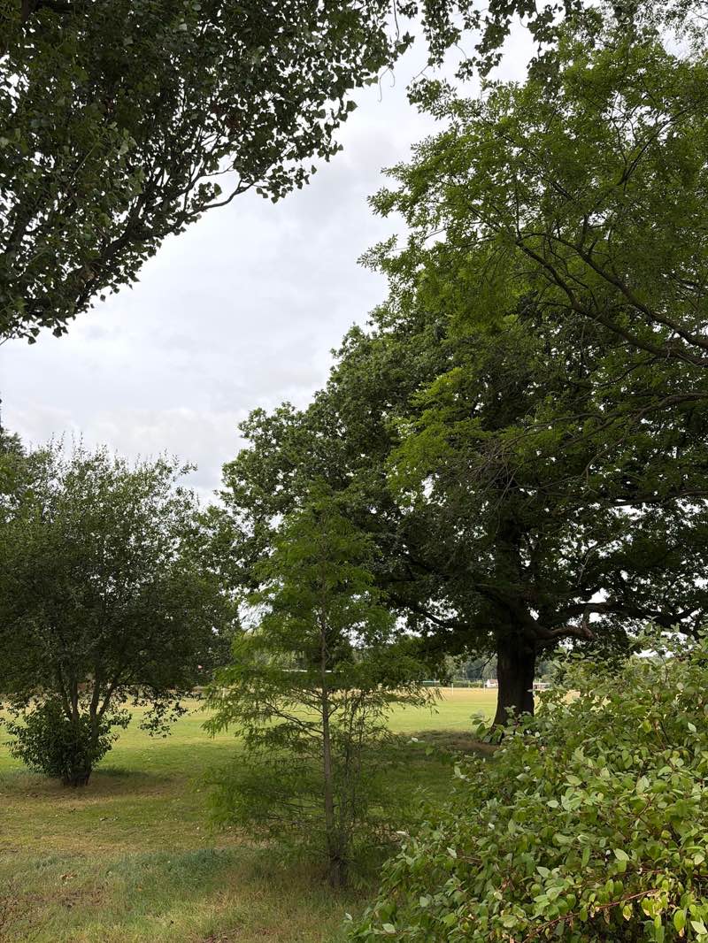 walking near me in Chaddesden Park in summer