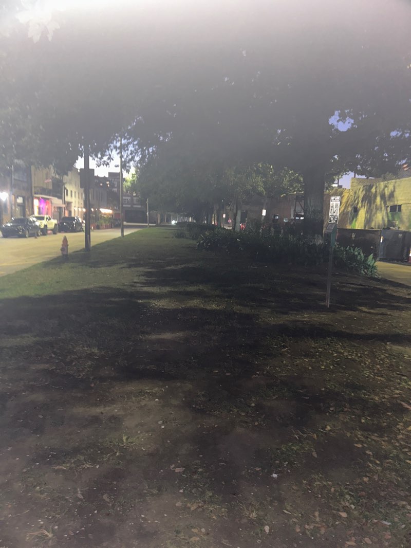 walking near me in St. Mary's Park in autumn