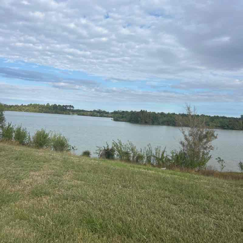 PacerPal Shivers✨ post 1