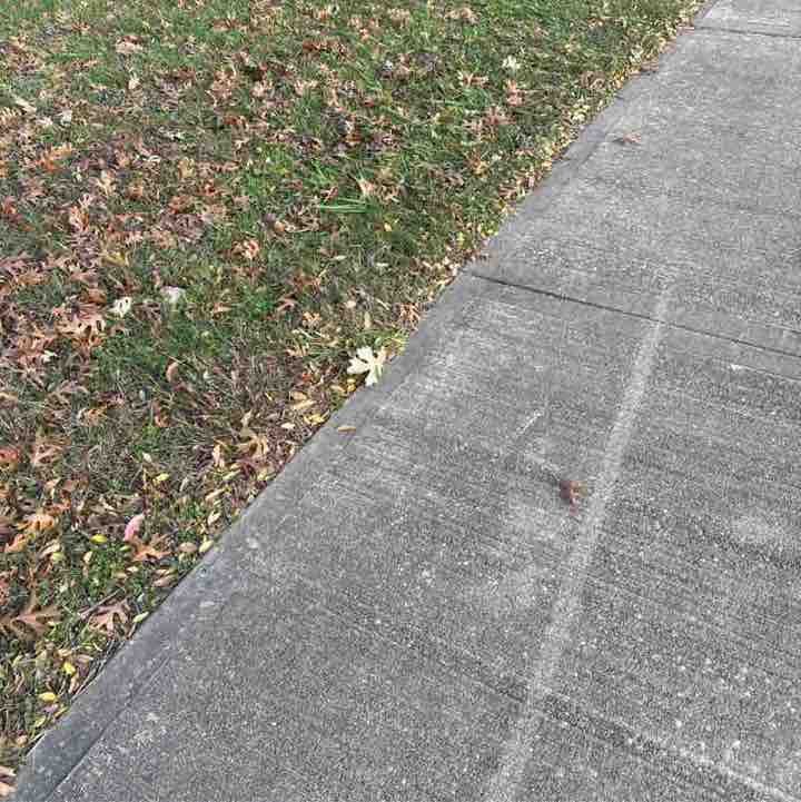 PacerPal Shivers✨ post 1