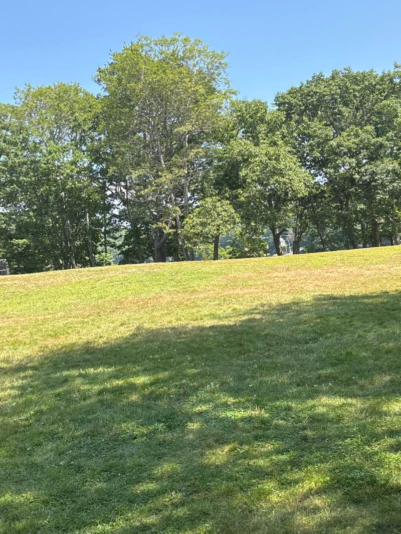 walking near me in Barretts Park in autumn