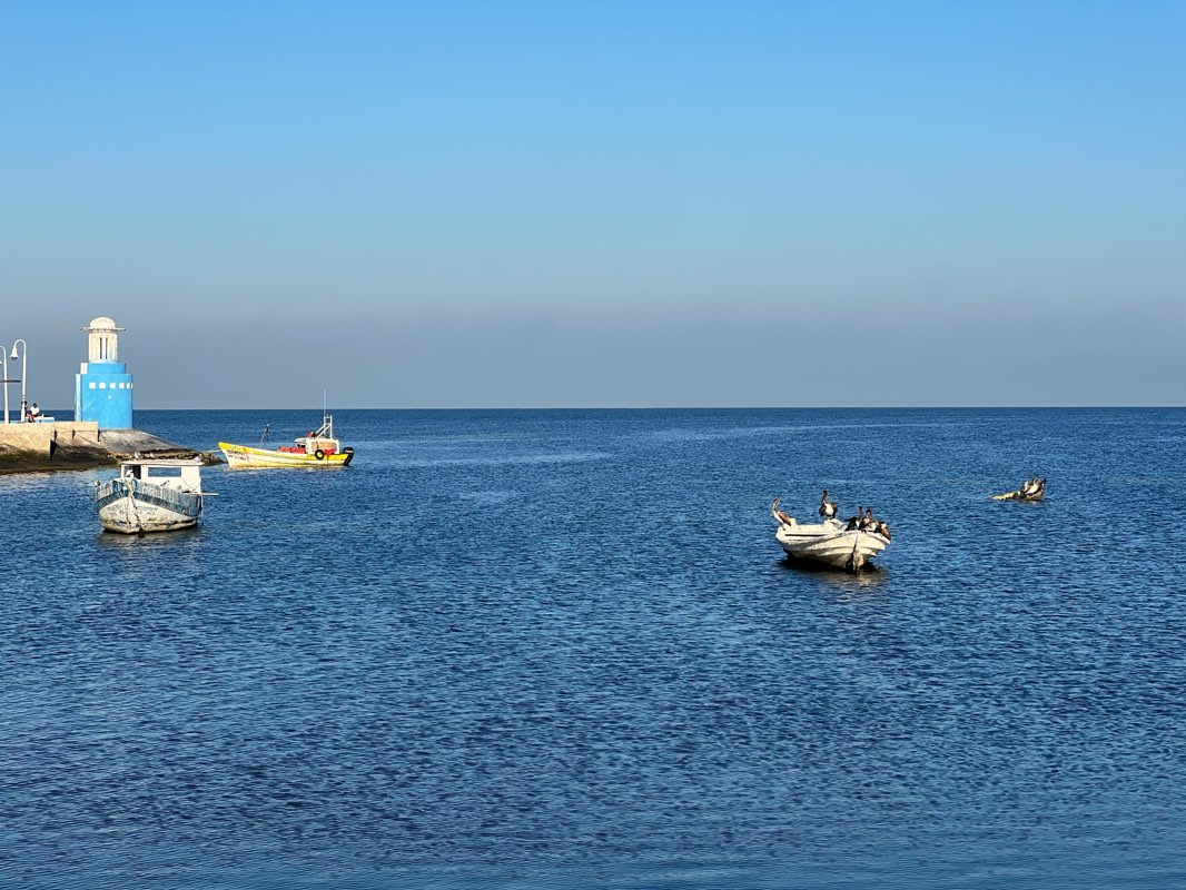 walking near me in Plaza Principal (Zócalo) in winter