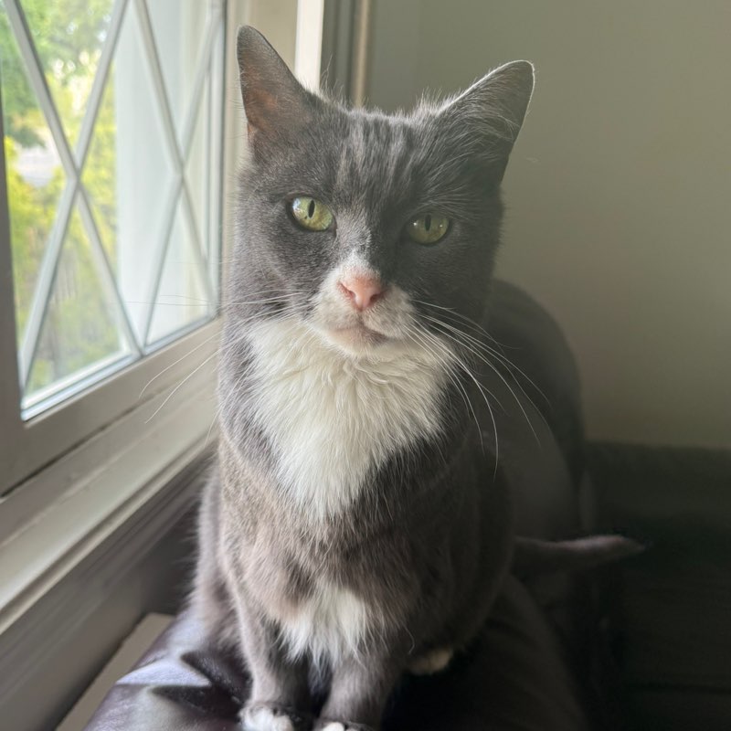 Thomas