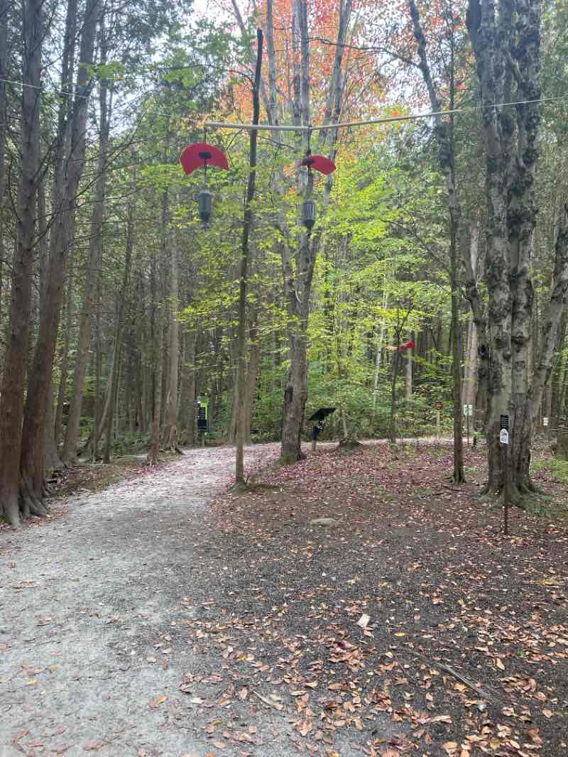 walking near me in Parc de la Pointe-Merry in autumn