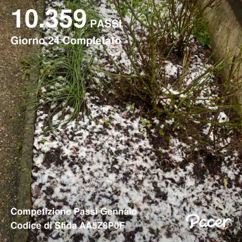 Cristina🎖🏰🎖Lucia post 1