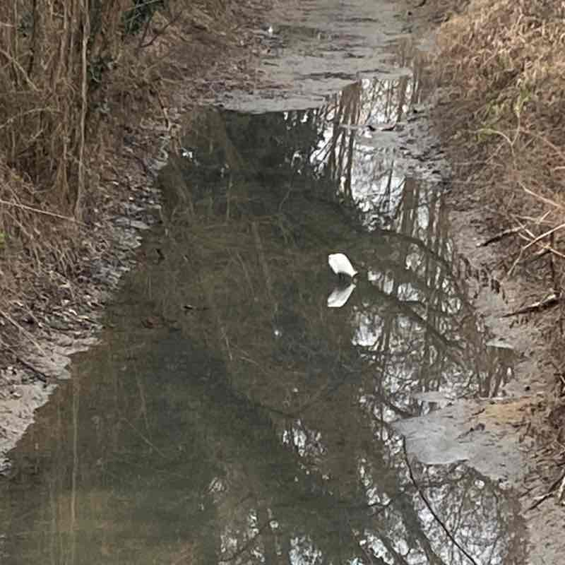 Cristina🎖🏰🎖Lucia post 3