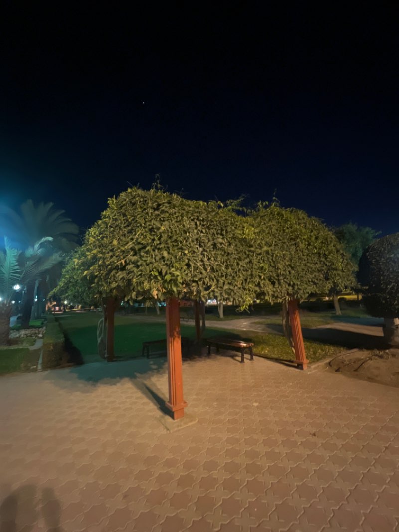 walking near me in Al Sahwa Park in winter