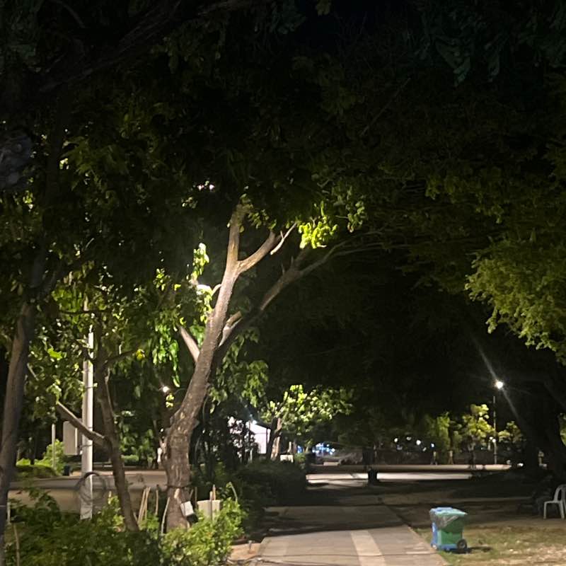 Aishath Nadha post 1