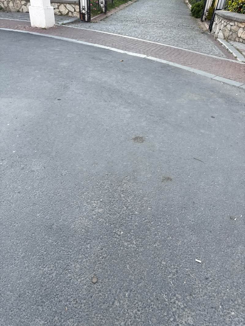 walking near me in Cultural Park in summer