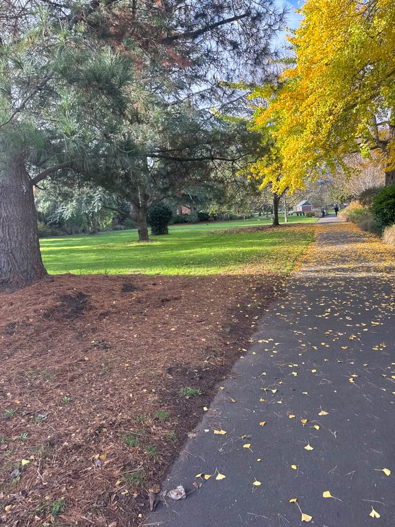 walking near me in St Thomas Pleasure Ground in autumn