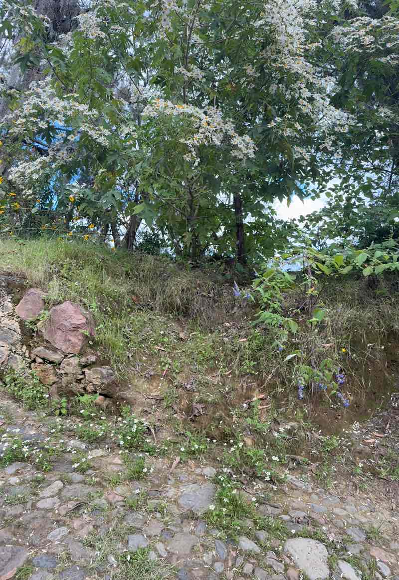 walking near me in Parque Nacional del Sacromonte in autumn