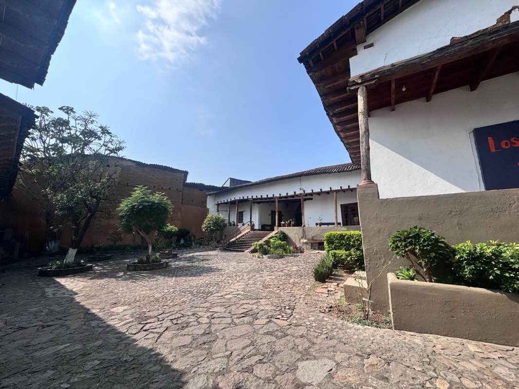 walking near me in Alameda del Bicentenario in autumn