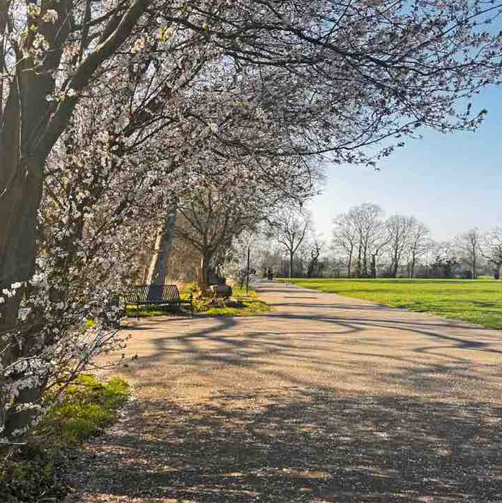 Маrta 🇬🇧🇱🇻 post 1