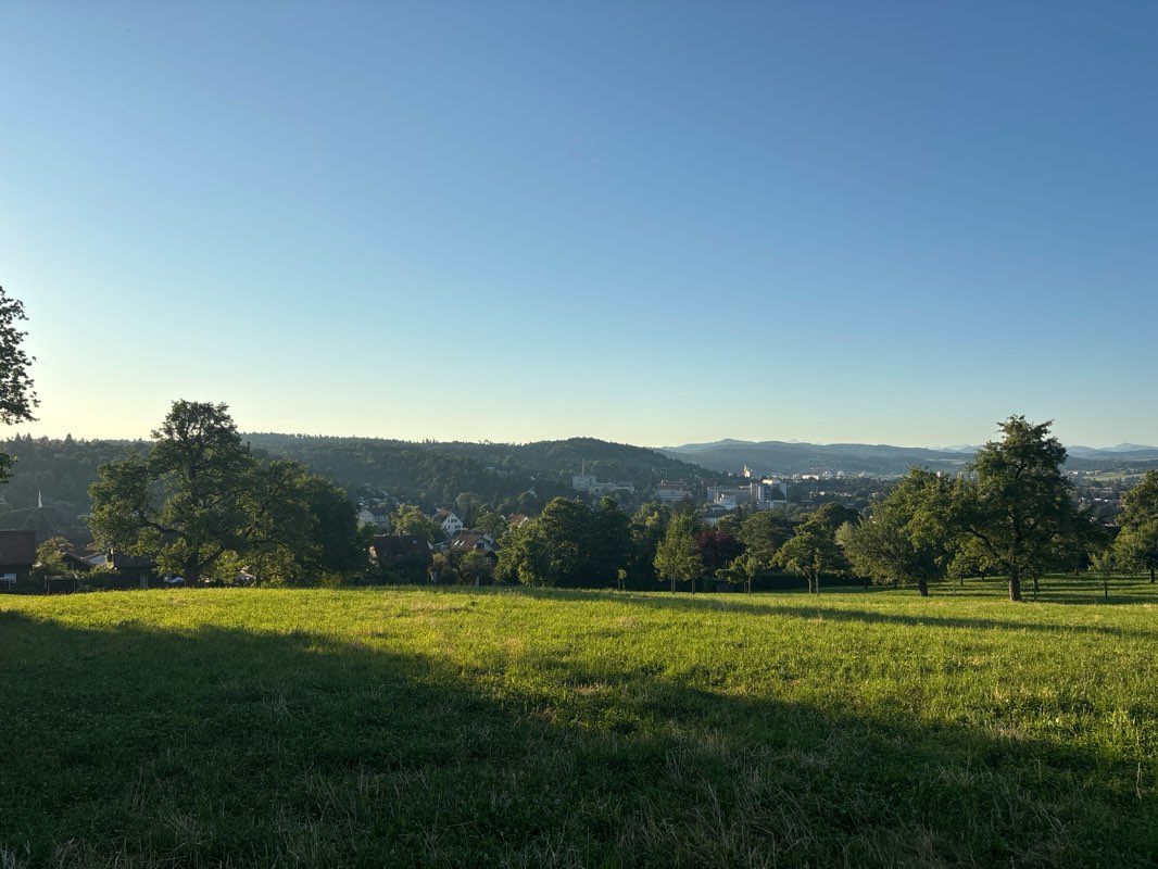walking near me in Allmend Güetli in summer