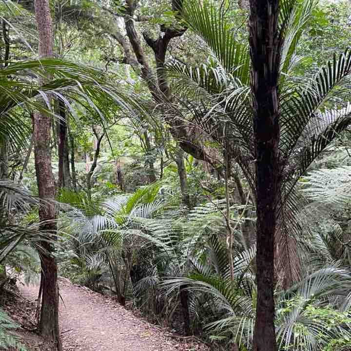 Stephen 🇦🇺🇺🇦 post 3