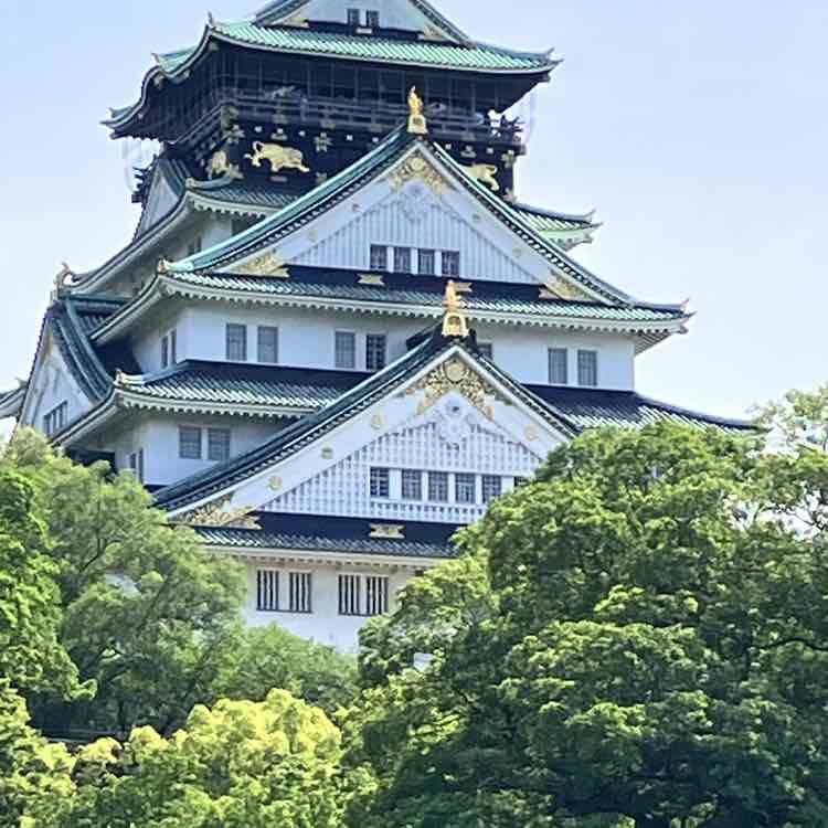 ぺぺろーーん post 2
