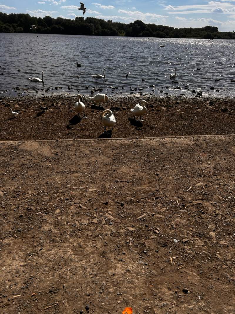 walking near me in New Alder Park in winter