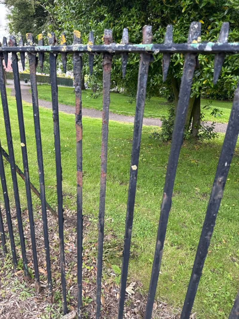 walking near me in Woodburn Park in summer