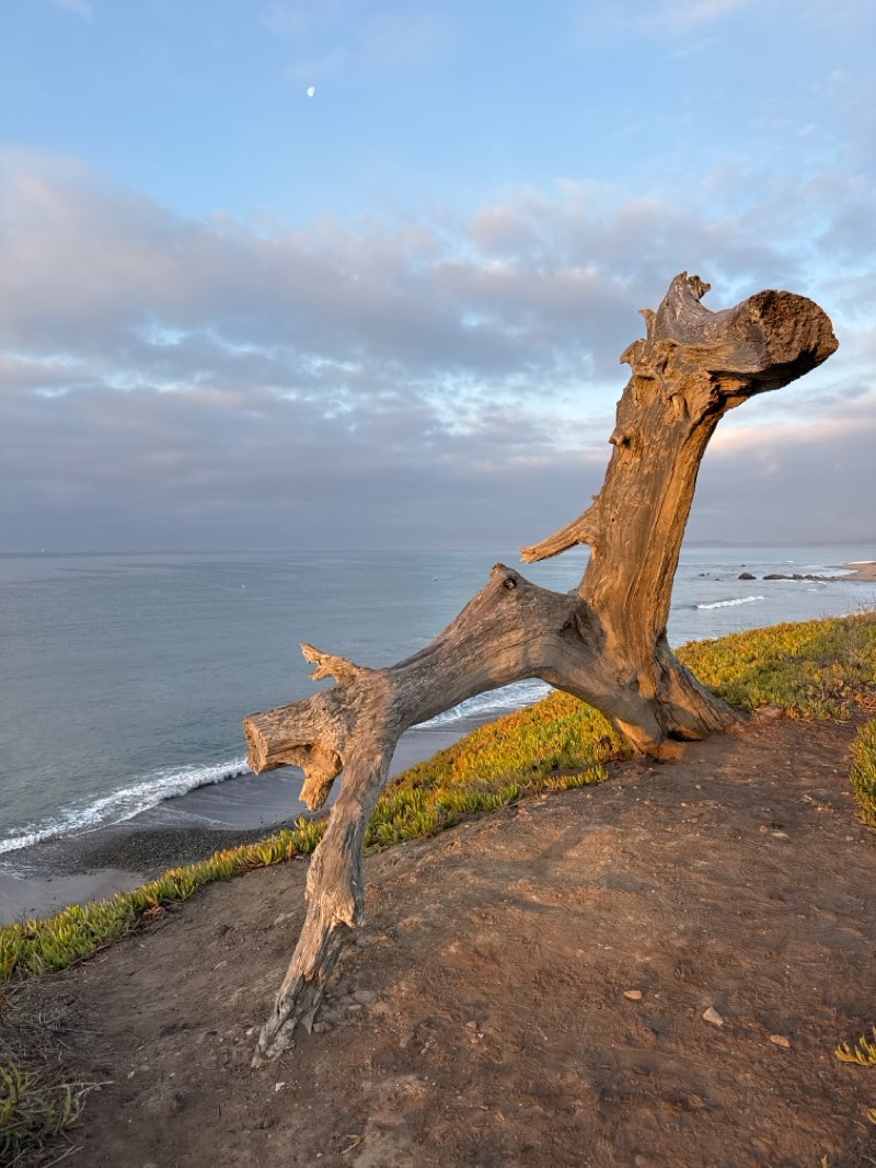 walking near me in Carpinteria State Beach in winter