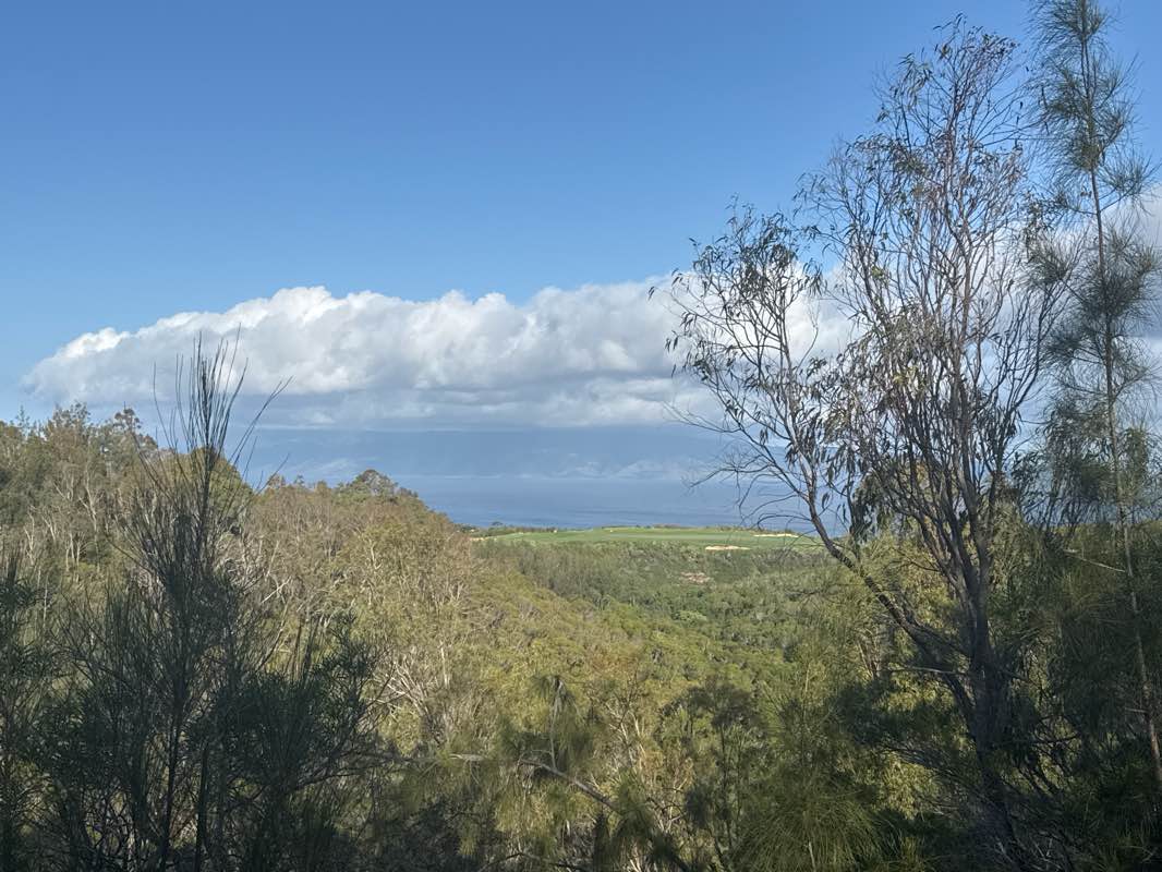 walking near me in D.T. Fleming Park in winter