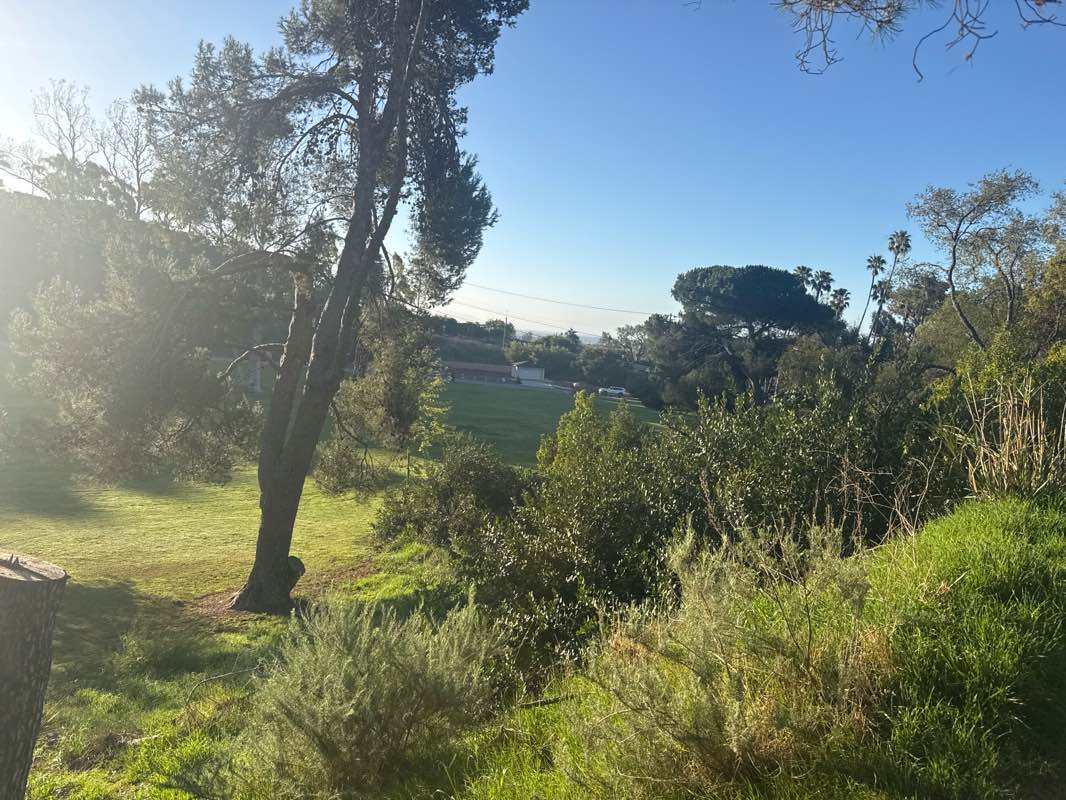 walking near me in Arroyo Verde Park in spring