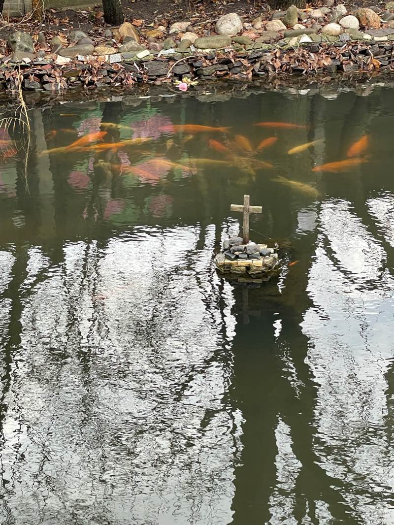 walking near me in Parcul Memorial "Constantin Stere" Bucov in winter