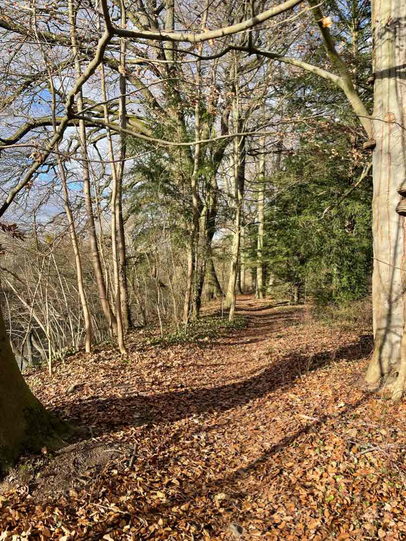walking near me in Friedrichspark in winter