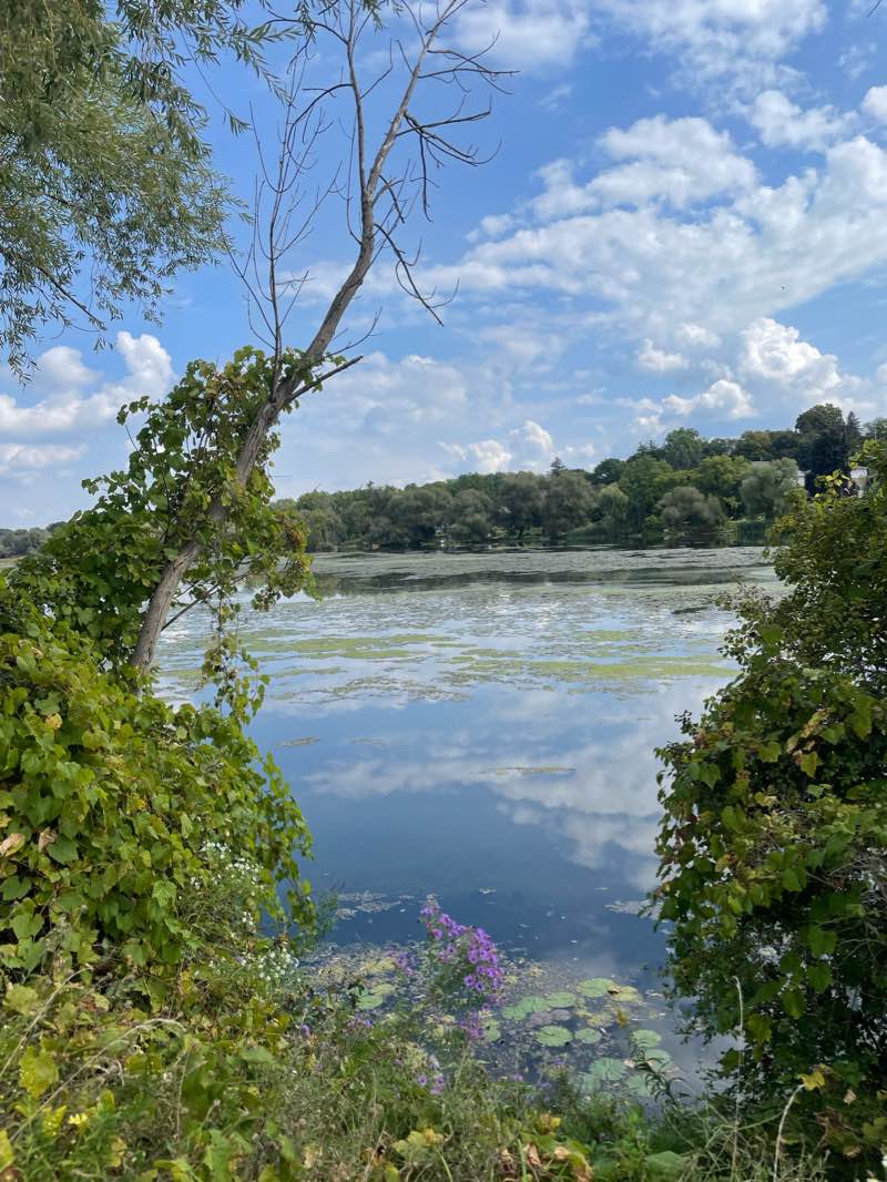 walking near me in Jacobs Landing in winter