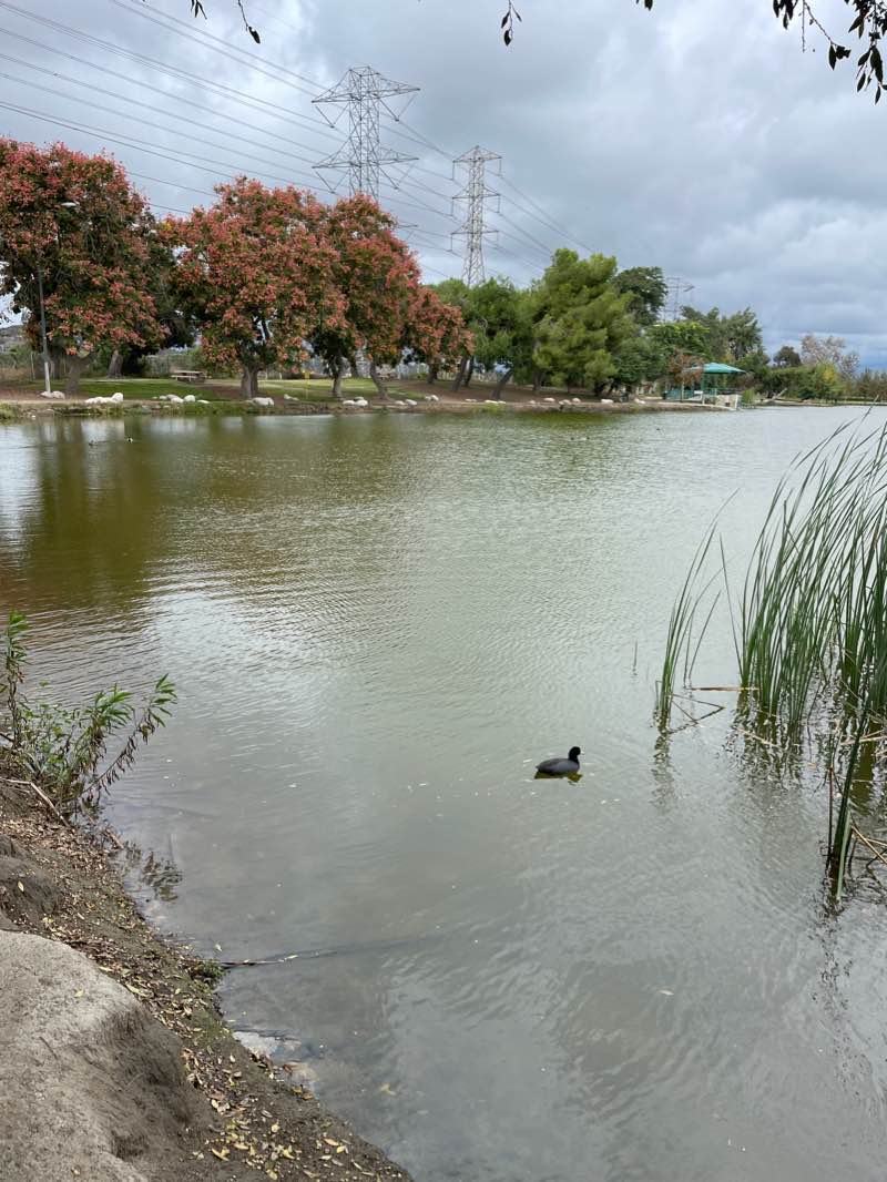 walking near me in Whittier Narrows Recreation Area - Special Events in winter