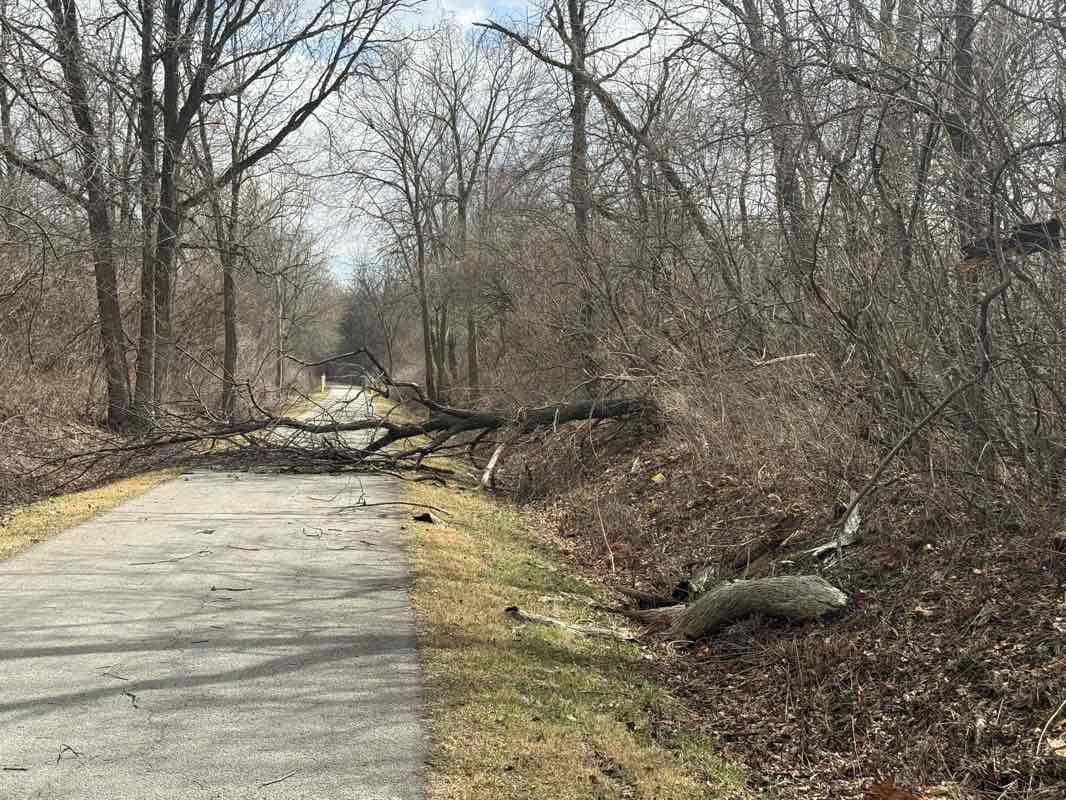 walking near me in Robert L. Walsh Park in spring