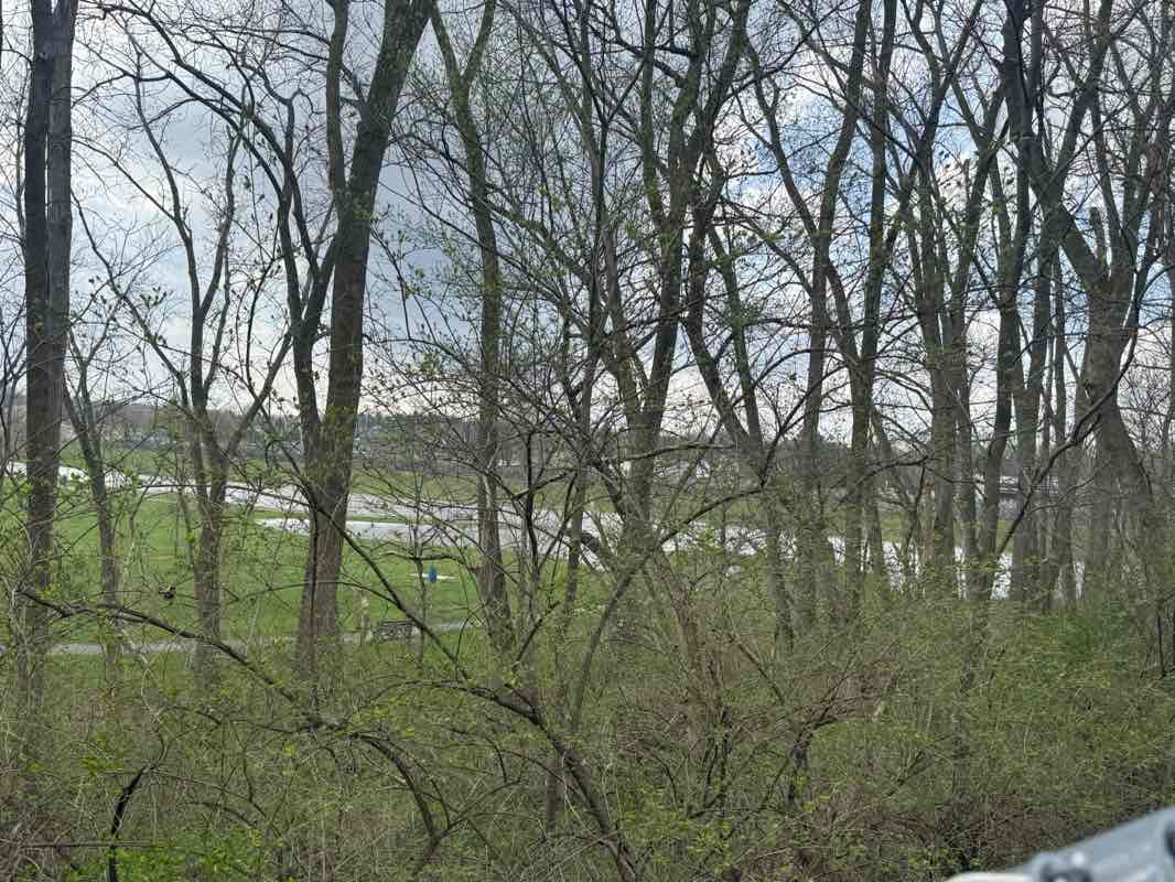 walking near me in Robert L. Walsh Park in spring