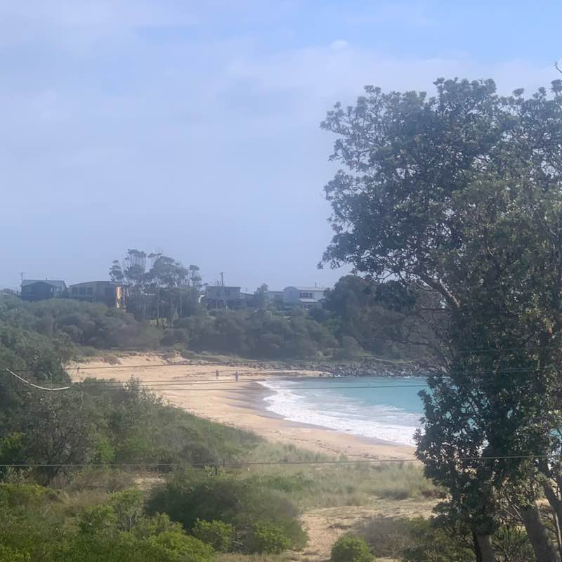 pedro the swift post 1