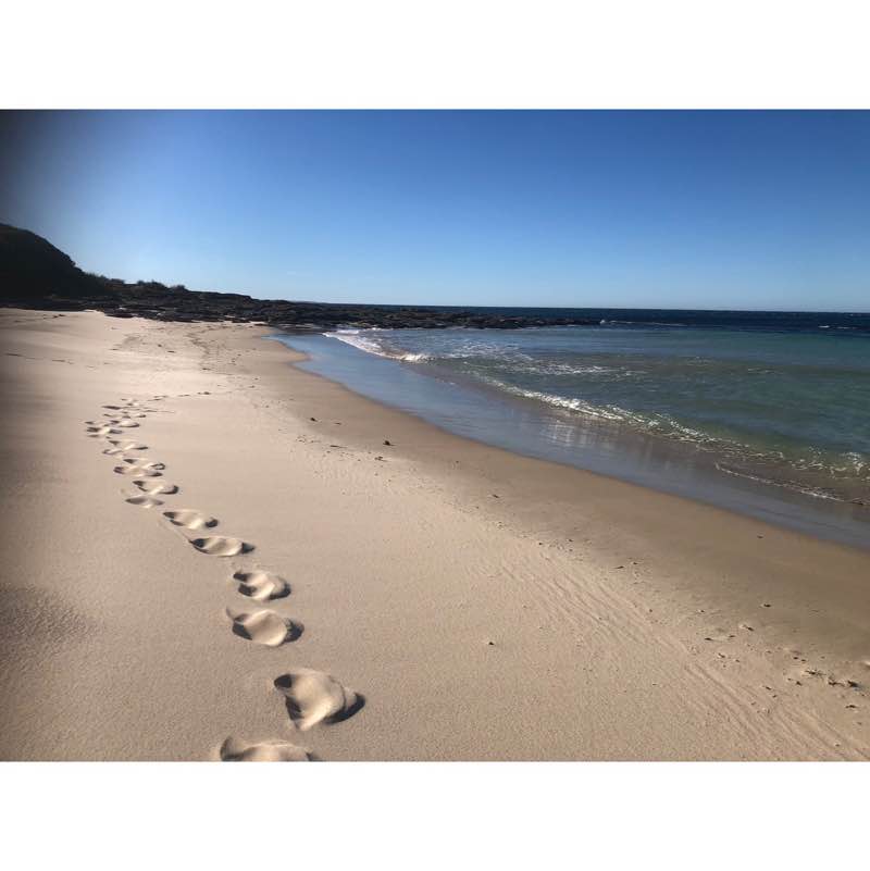 pedro the swift post 1