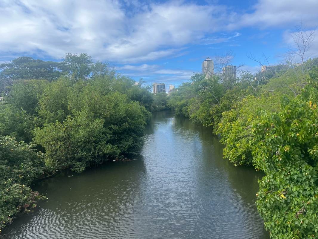 walking near me in Ala Wai Community Park in winter
