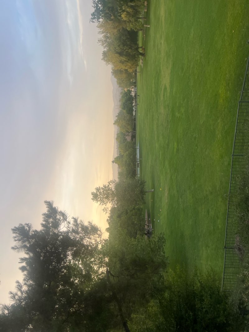 walking near me in Almendra Park in spring