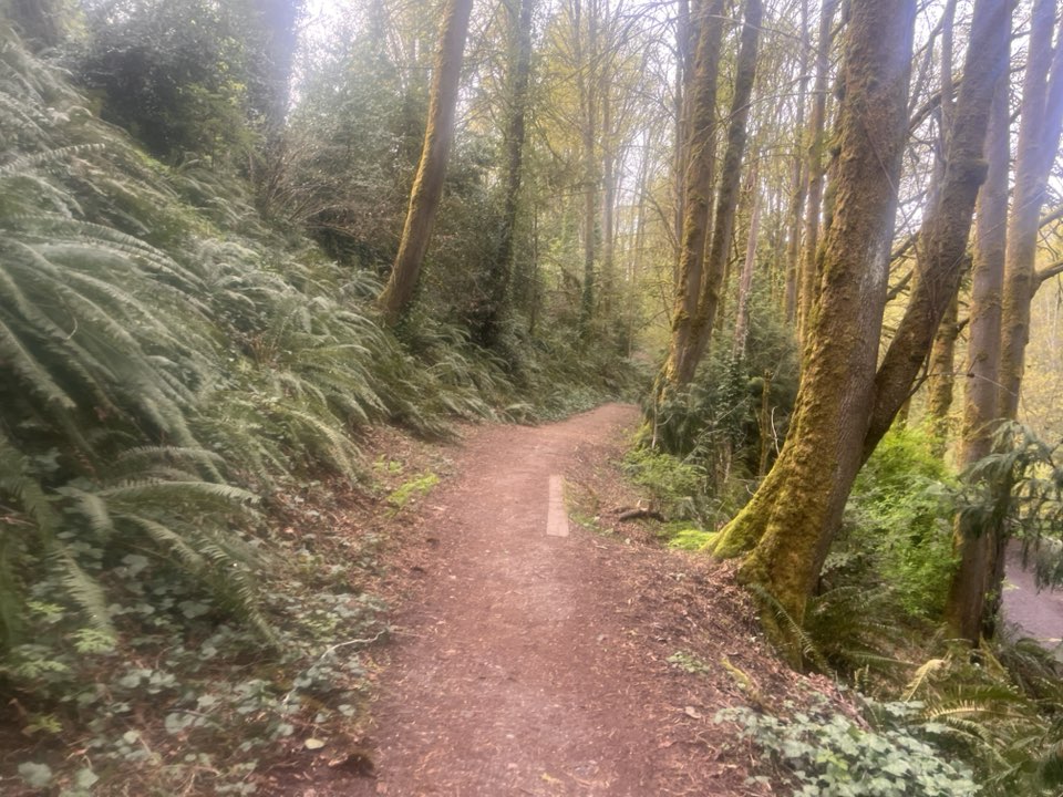 walking near me in Ravenna Park in spring