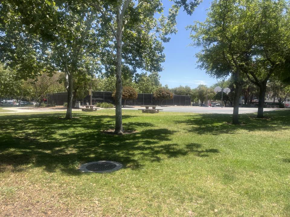 walking near me in Palmia Park in spring