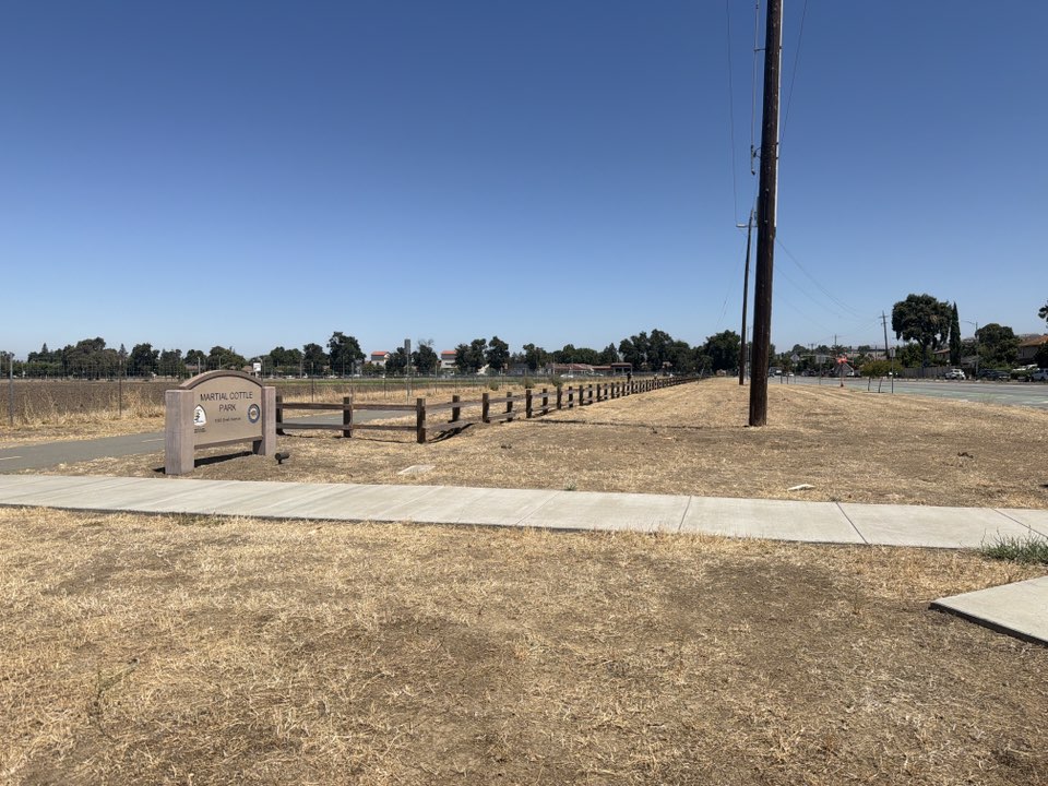 walking near me in Martial Cottle Park in summer