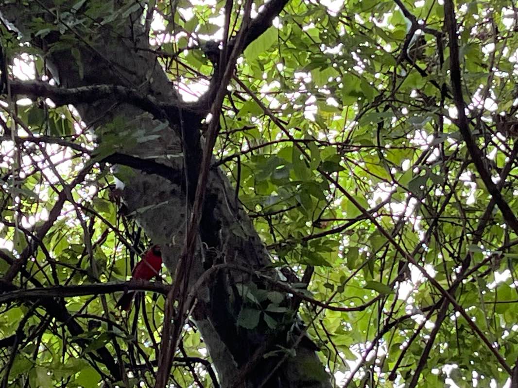 walking near me in Riverside Park in winter