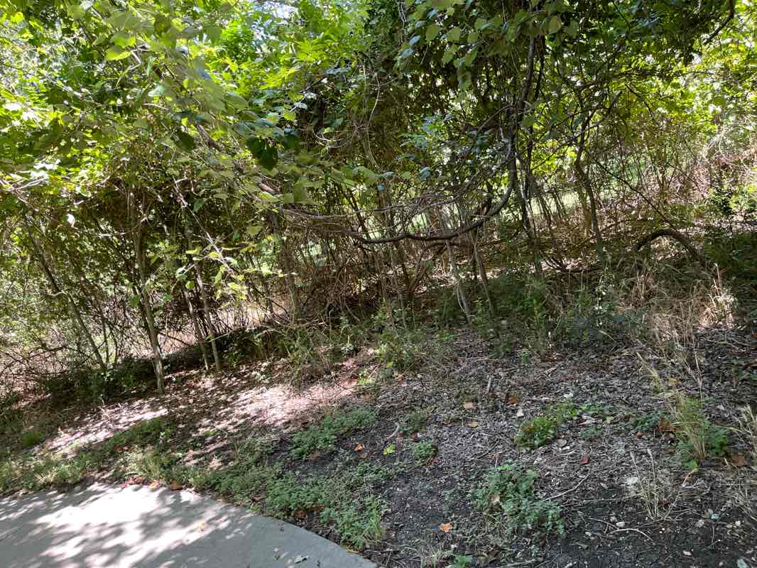 walking near me in Riverside Park in summer