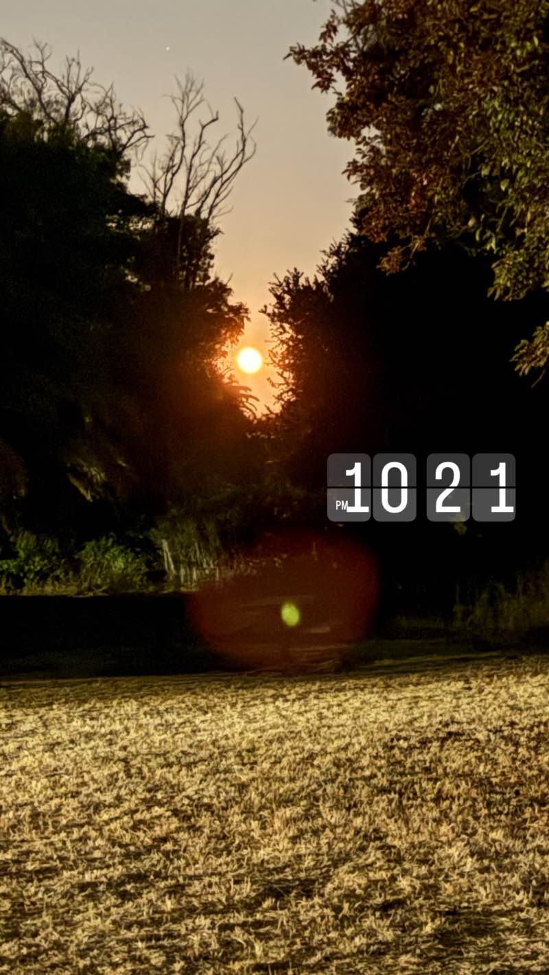 walking near me in Bayfront Park in summer